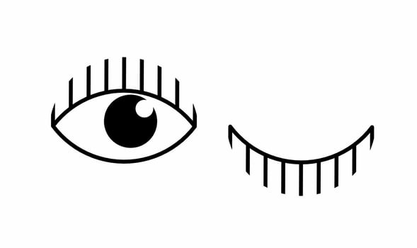 Open and winking eyes icon isolated on white background vector