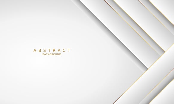 white luxury premium background and gold line. vector
