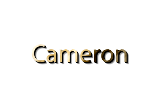 Cameron 3d mockup png