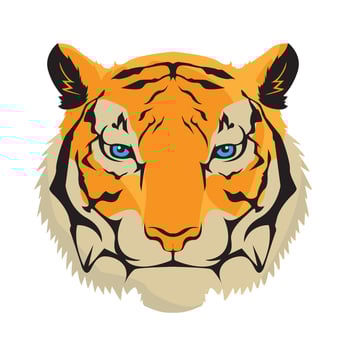 Tiger Face Vector Illustration