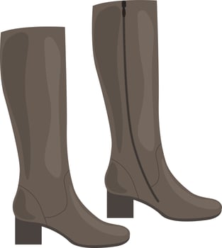 Fashionable classic women s boots. Women s shoes. High leather women s boots with heels. Vector illustration isolated on a white background