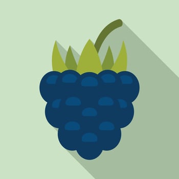 Delicious blackberry icon, flat style vector