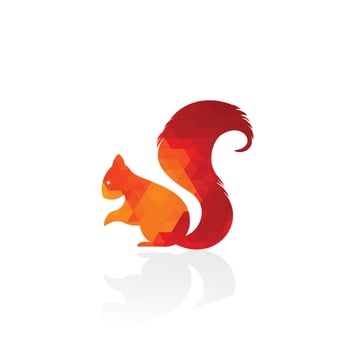Squirrel Logo Template Design Vector Illustration Sign