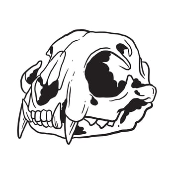 Cat Skull Illustration vector