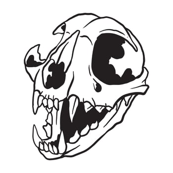 Cat Skull Illustration vector