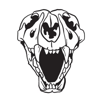 Cat Skull Illustration vector