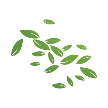 leaf fall vector