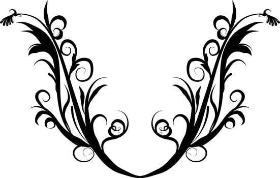 Calligraphic swirl border elements vector