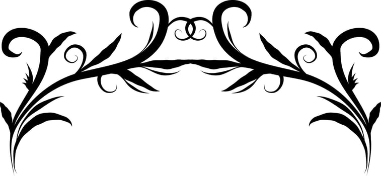 Calligraphic swirl border elements vector