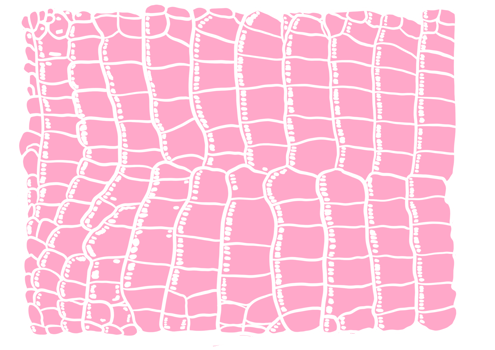 Pink Aligator Pattern png