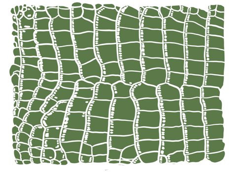 Green Aligator Pattern png