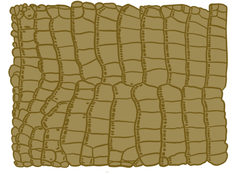 Gold Aligator Pattern png