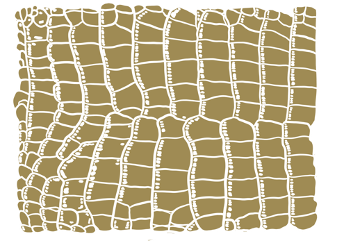 Gold Aligator Pattern png