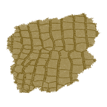 Gold Alligator Print Background png