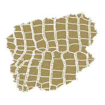 Gold Alligator Print Background png