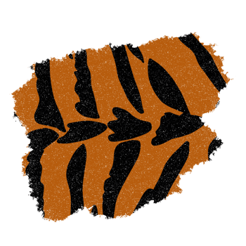 Tiger Pattern Background png