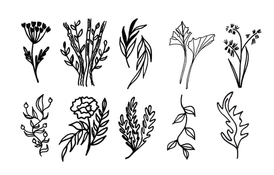 A set of plants with black lines by hand. Twigs and flowers vector