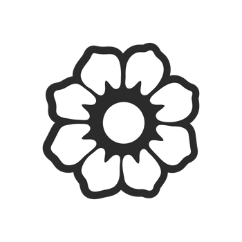 Flower illustration isolated on png transparent background