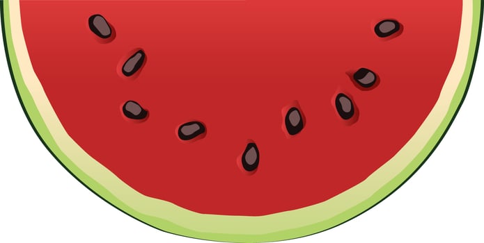 watermelon slice in isolated vector