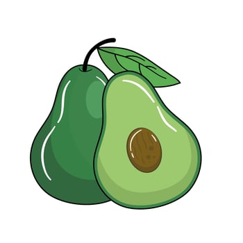 Avocado vegetable and fruit vector