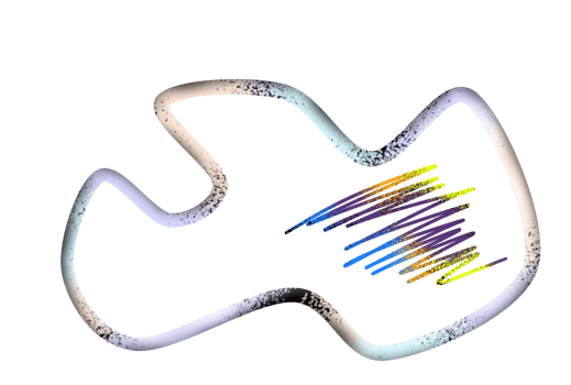 Aesthetic Shape Full Color png