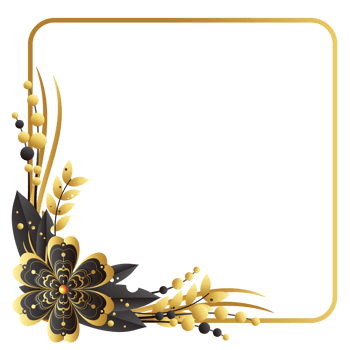 Dry flower on left down corner square frame png