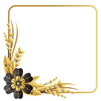 Dry flower on left down corner square frame png