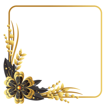 Dry flower on left down corner square frame png