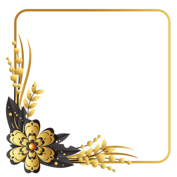 Dry flower on left down corner square frame png