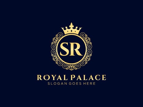 Letter SR Antique royal luxury victorian logo with ornamental frame. vector
