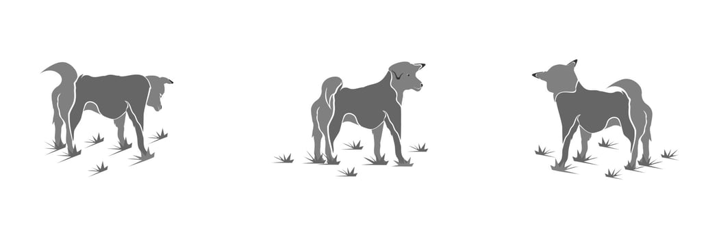 cartoon dog isolated vector illustration