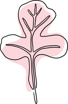 simplicity maple freehand drawing flat design. png