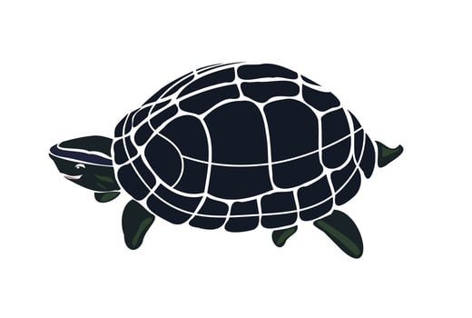 Cute turtle isolated on white background vector