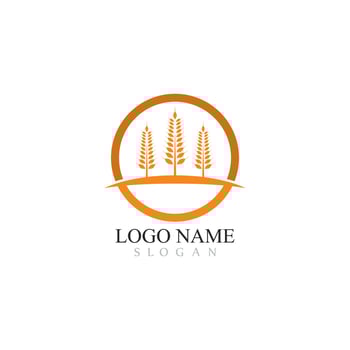 Agriculture wheat Logo Template vector icon