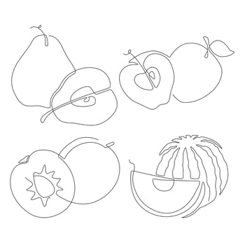 line art drawing fruit symbol element for logo and printable design pear apple apricot watermelon vector