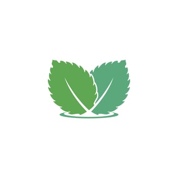 Mint leaf vector icon illustration