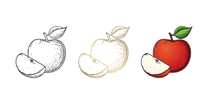 Vector drawing apple. Black, gold and realistic colors on white background.
