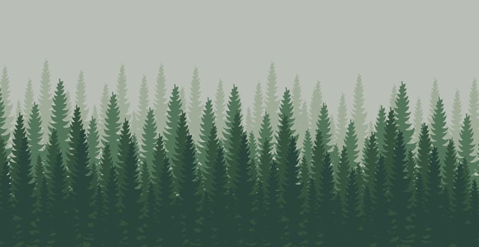 Panorama of dense forest, fir and pine natural green landscape, web background, template - Vector illustration