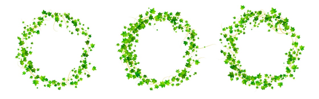 Ivy round frames, climbing vine circle borders vector