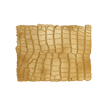Golden Metallic Aligator Pattern png