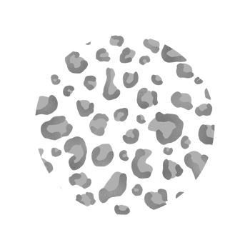 Silver Leopard Pattern png
