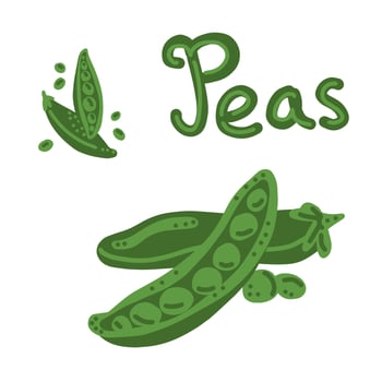 Pea pod vegetable cartoon vector