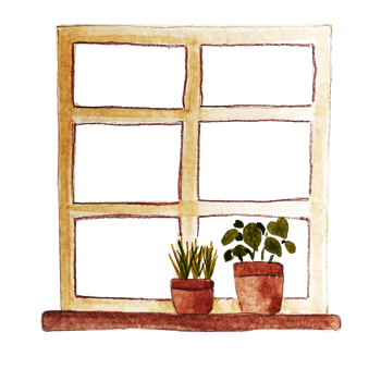 watercolor illustration flower pots and windows png