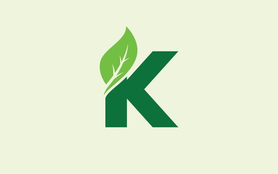 K logo leaf for identity. nature template vector illustration for your brand.