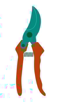 Pruner. A garden tool for pruning plants. Flat style. Vector illustration