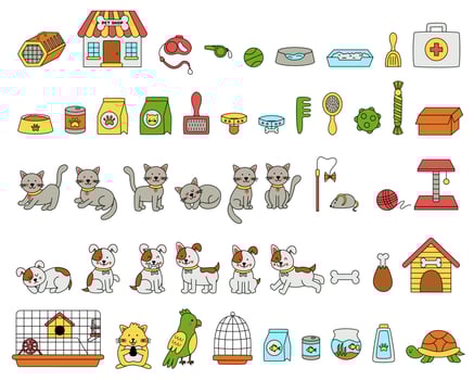 Set of cute pets and pet accessories in cartoon style. vector