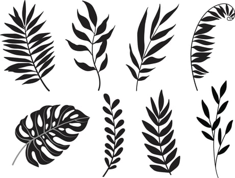 line drawing vector monstera leaf and palm tree leaves. Modern single line art, aesthetic contour. Perfect for home decor such as posters, wall art