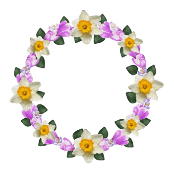 wreath of crocus flowers, daffodils, saffron png