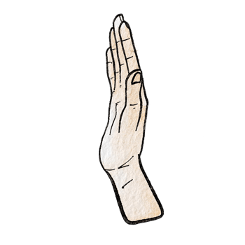Watercolor various hand gestures png