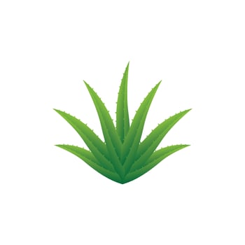 Aloe vera cosmetic herbal logo images  illustration vector